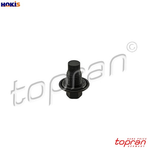 Screw plug oil - screw,