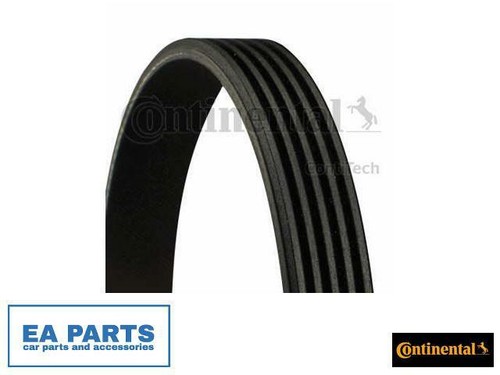 Ribbed belts for - v-ribbed, fiat