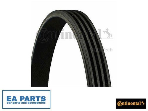 Ribbed belts for fiat - belts,